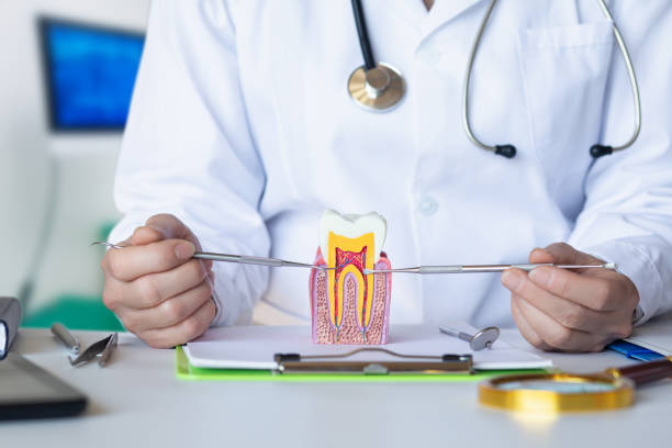Best Emergency Care for Gum Disease in Caldwell, OH